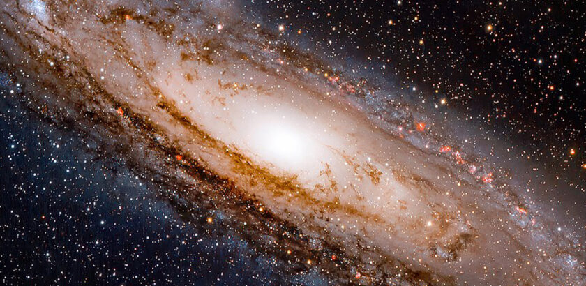 the design of the universe
