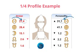 1/4 human profile