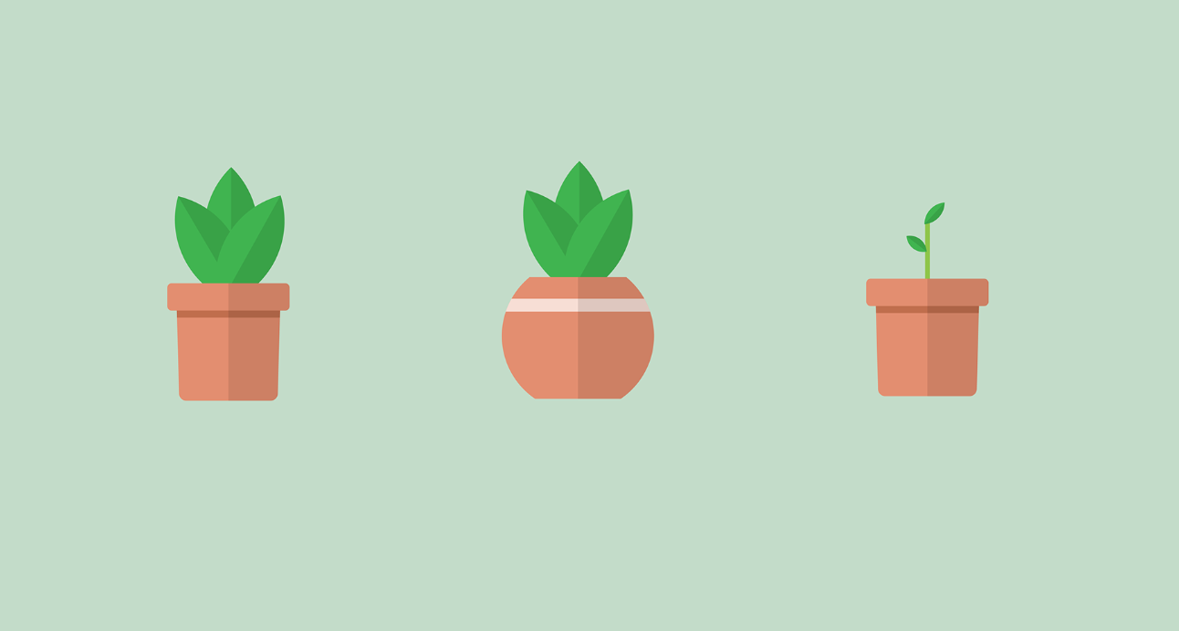 plant pots graphic design