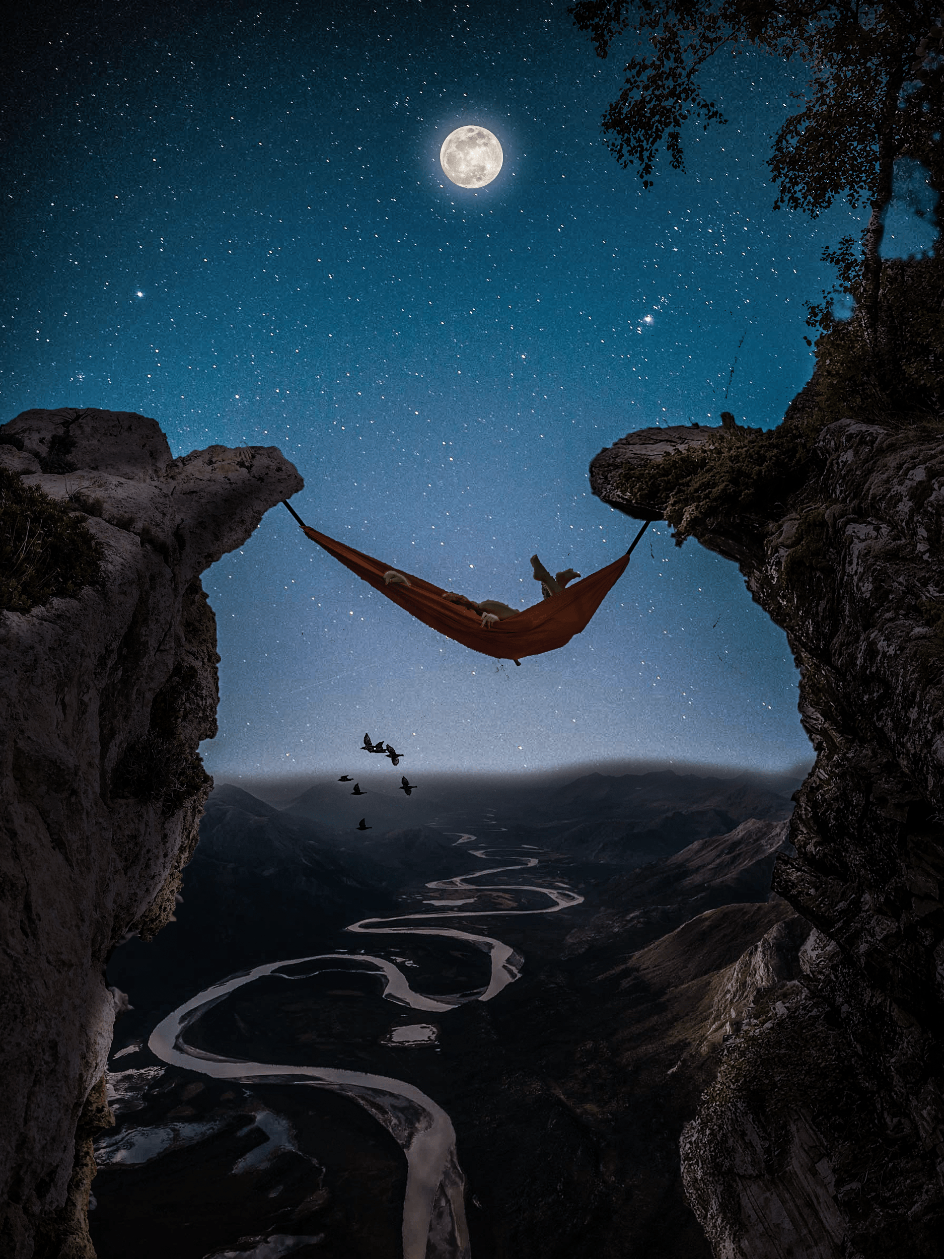 graphic design art forum cliff with women in hammock night moon